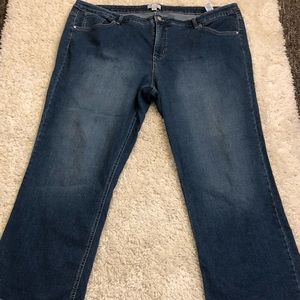 d & co denim company Size 24 Wp jeans